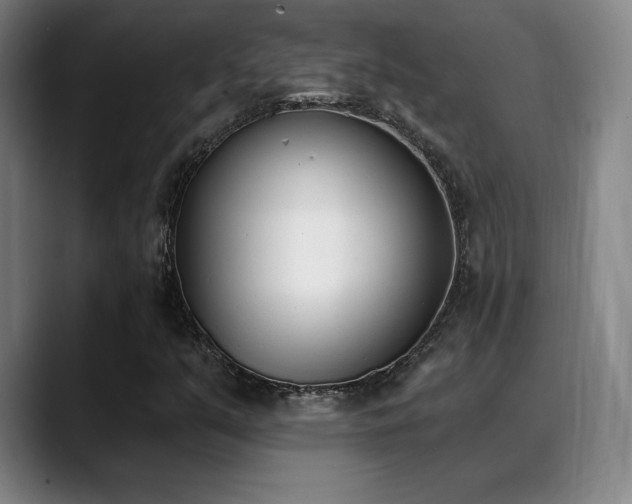 X0000089391351200706151215