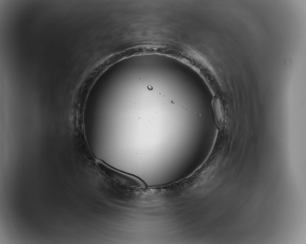 X0000089391352200706151215