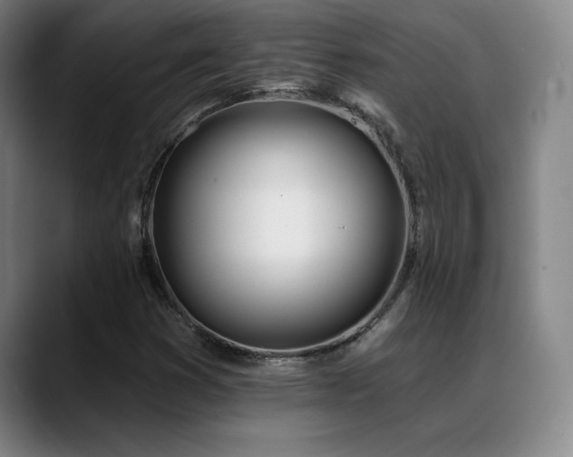 X0000089391353200706151215