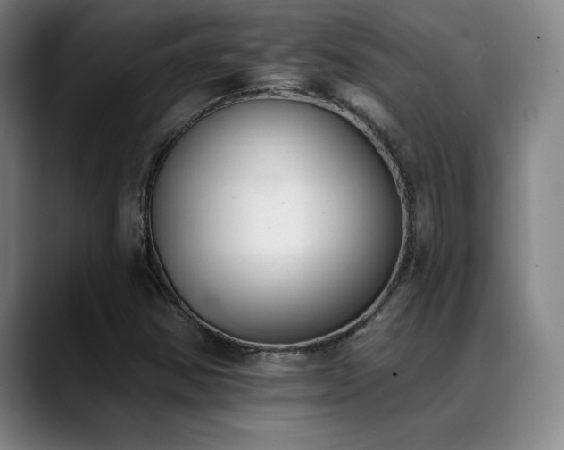 X0000089391354200706151215