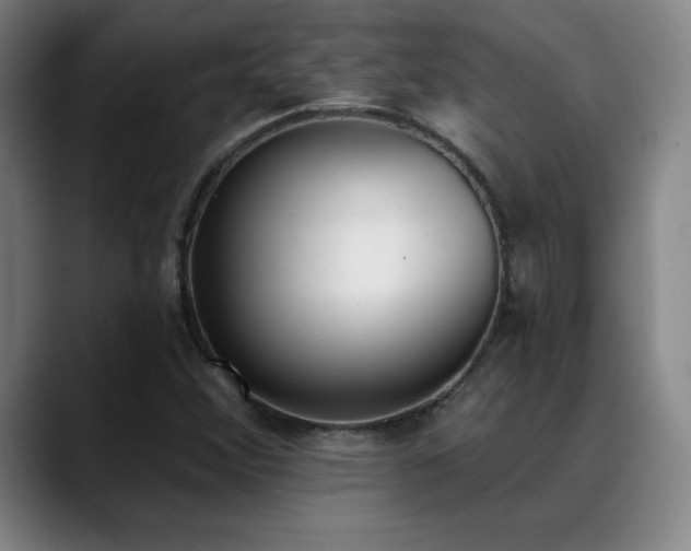 X0000089391356200706151215