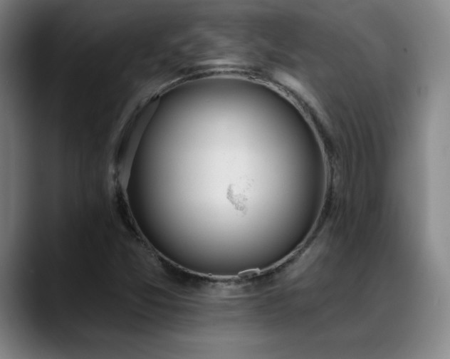 X0000089391357200706151215