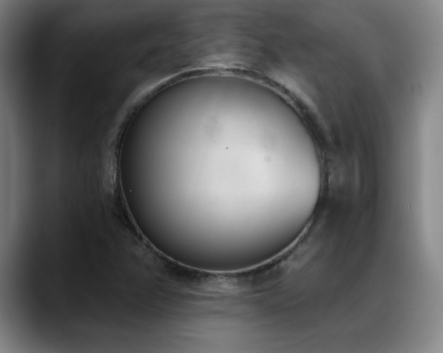 X0000089391358200706151215