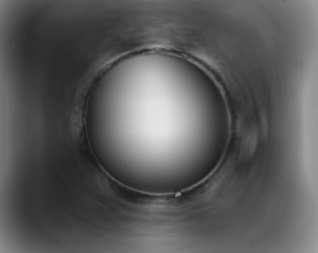 X0000089391359200706151215