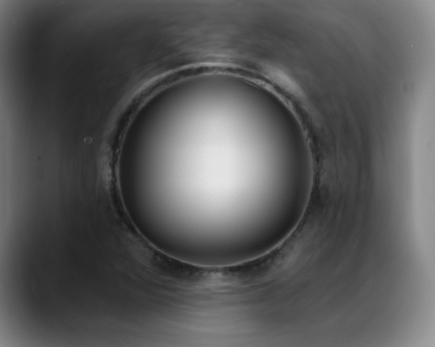 X0000089391360200706151215