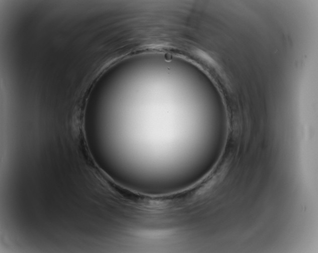 X0000089391361200706151215