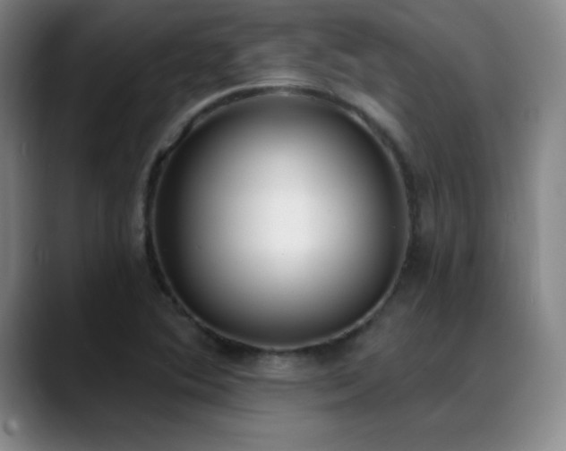 X0000089391364200706151214