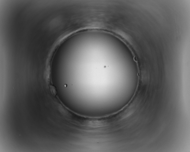 X0000089391366200706151214