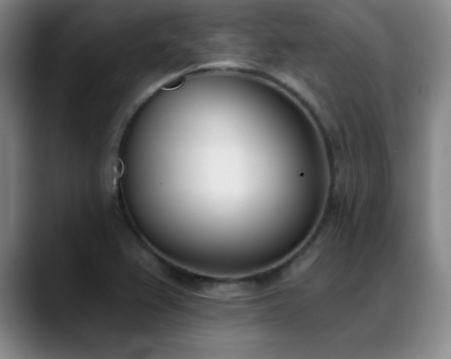 X0000089391367200706151214