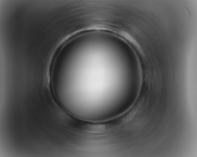 X0000089391372200706151214