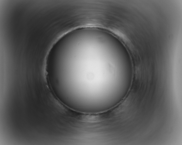 X0000089391374200706151214