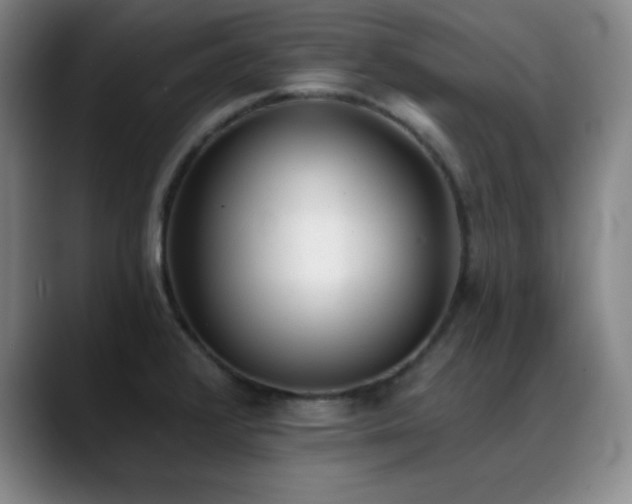 X0000089391376200706151214
