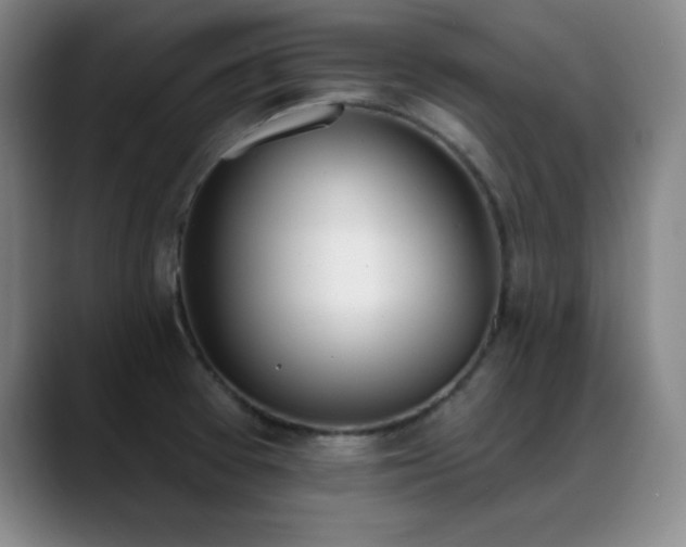 X0000089391377200706151214