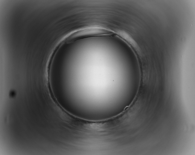 X0000089391380200706151214
