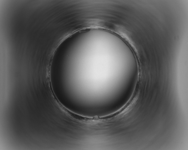 X0000089391385200706151214
