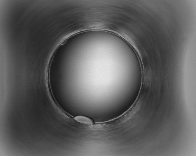 X0000089391389200706151214