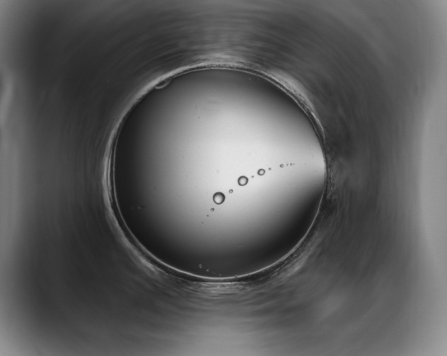 X0000089391391200706151214