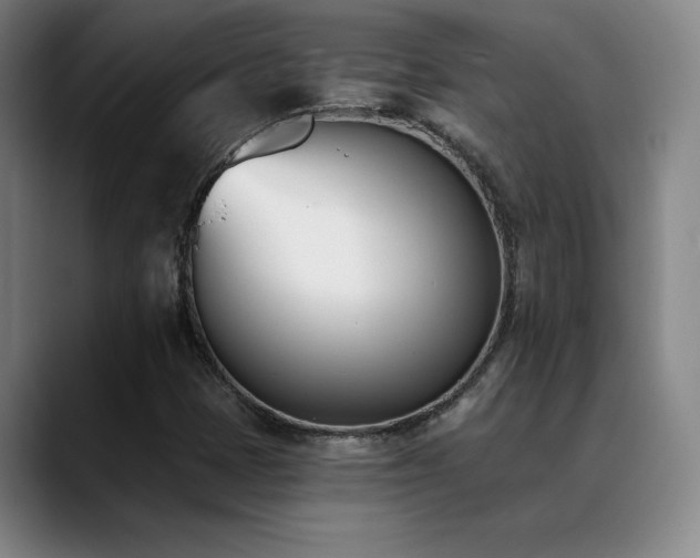 X0000089391401200706151214