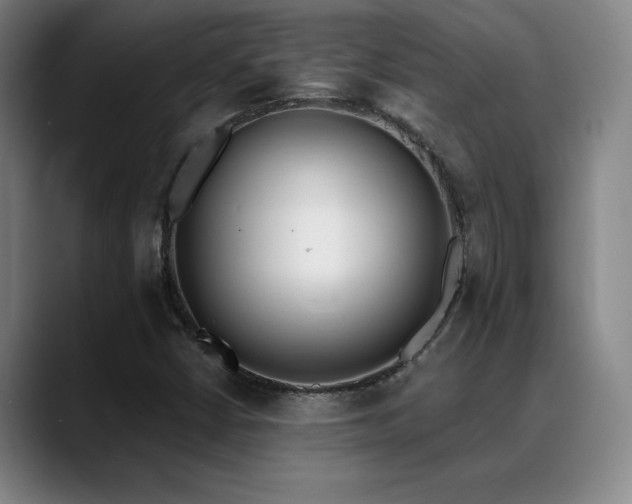 X0000089391402200706151214