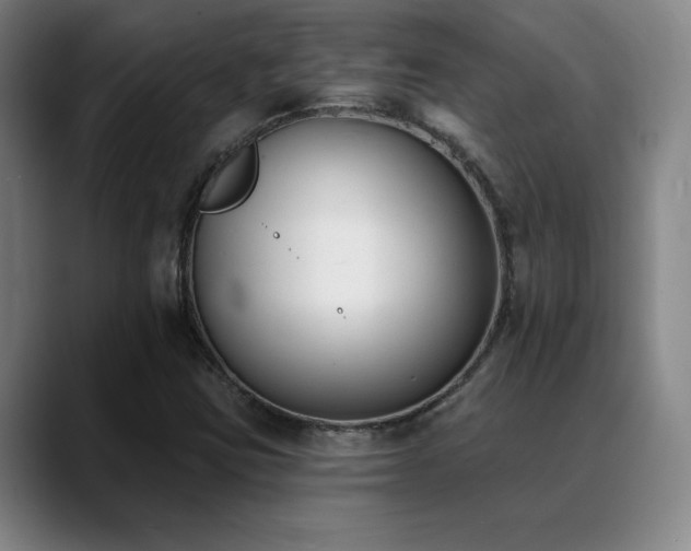 X0000089391403200706151214