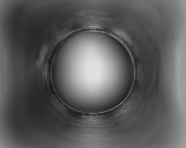 X0000089391404200706151214