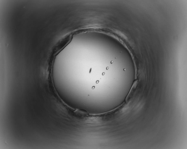 X0000089391406200706151214