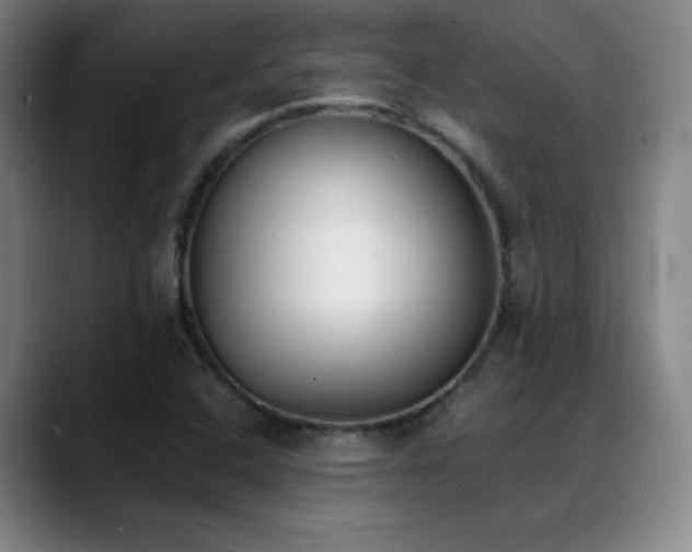 X0000089391408200706151214