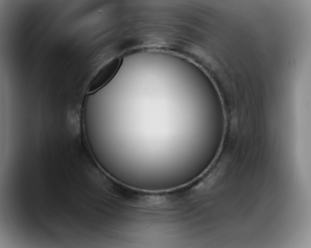 X0000089391409200706151214