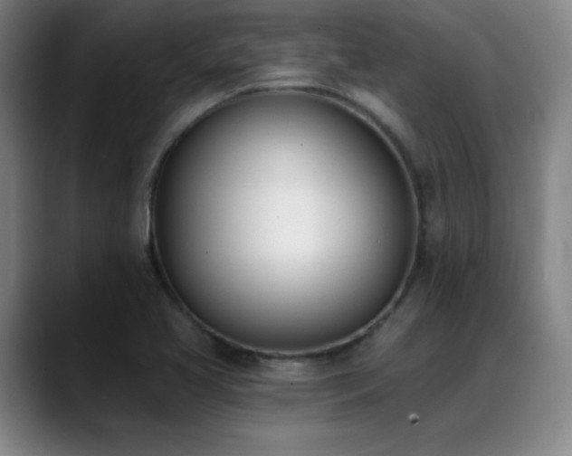 X0000089391413200706151214