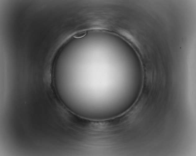 X0000089391415200706151214