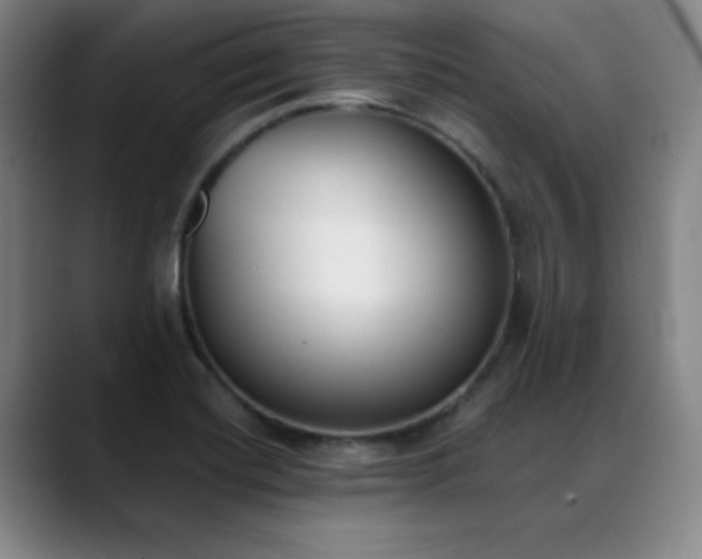 X0000089391420200706151214