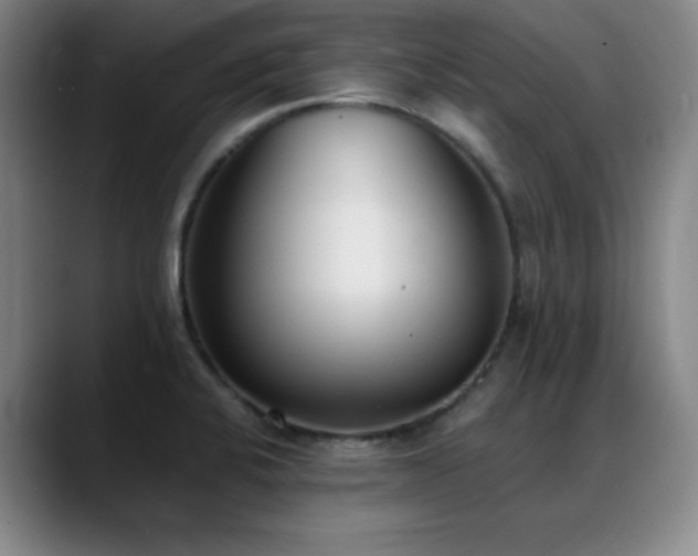 X0000089391424200706151214