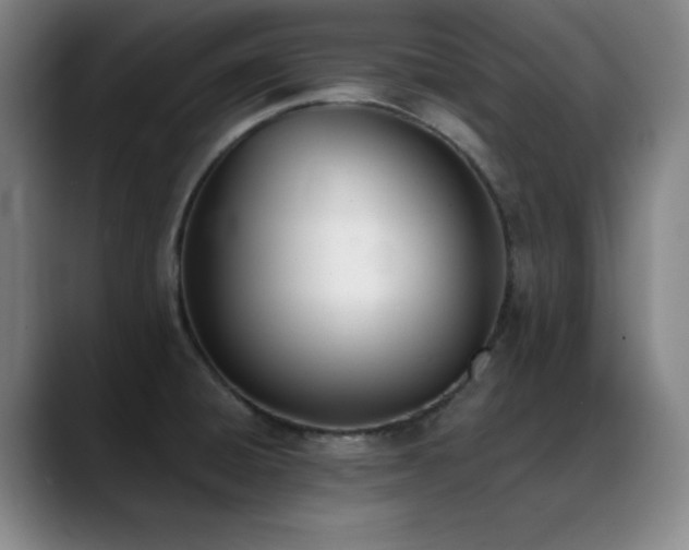 X0000089391428200706151214