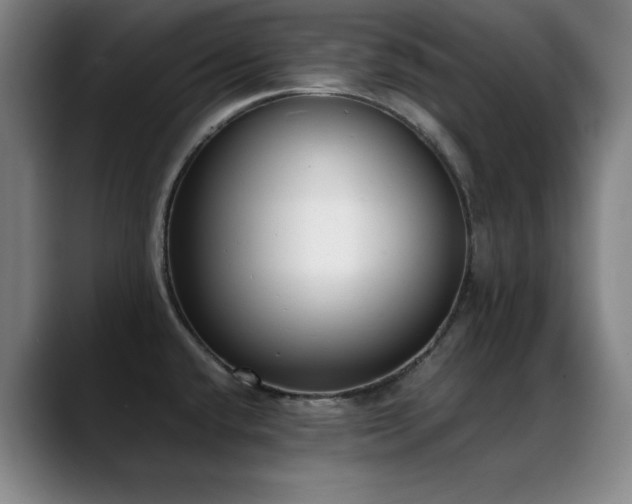 X0000089391432200706151214