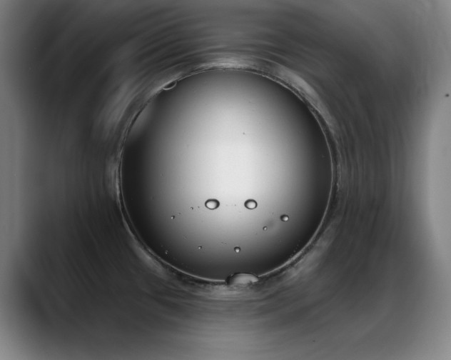 X0000089391433200706151214