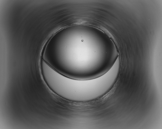 X0000089391434200706151214