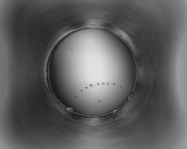X0000089391435200706151214