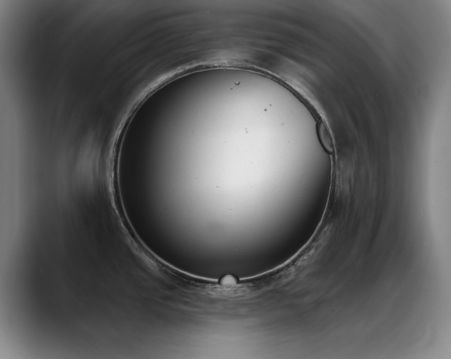 X0000089391437200706151214