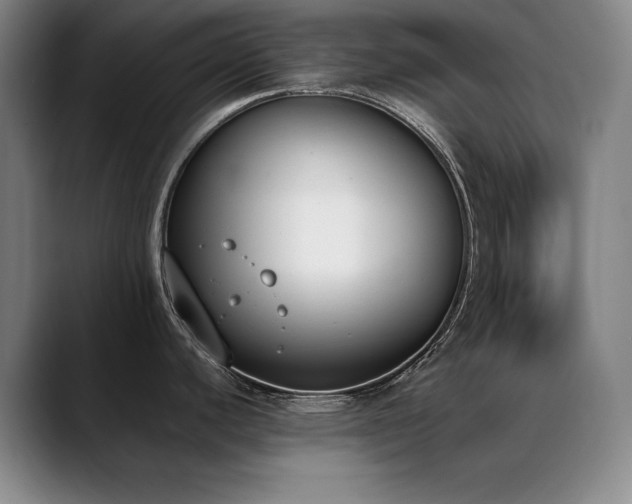 X0000089391440200706151214