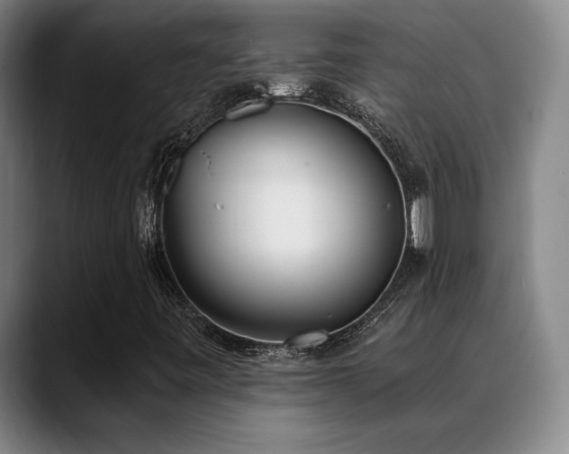 X0000089391443200706151214