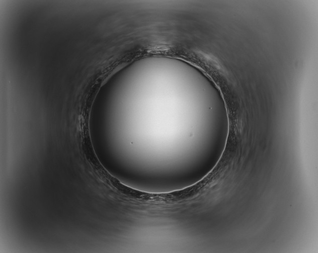 X0000089391445200706151214
