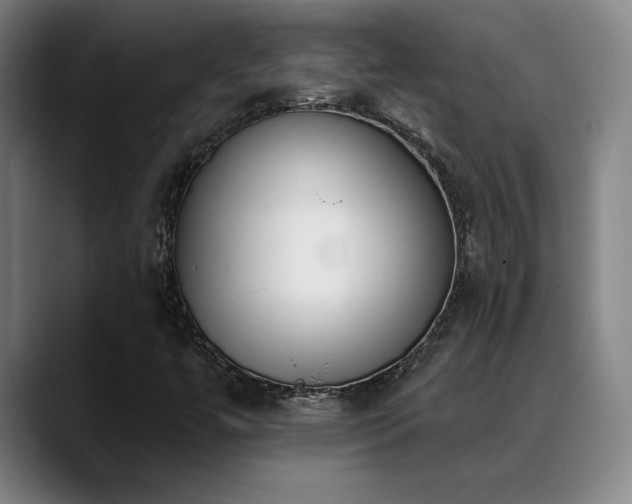 X0000089391447200706151214