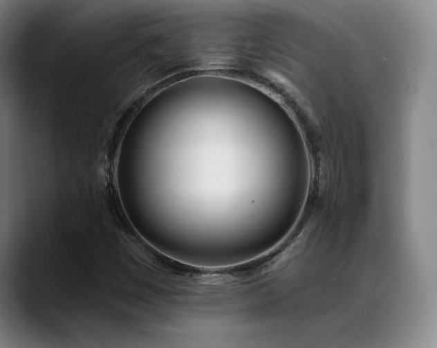 X0000089391449200706151214