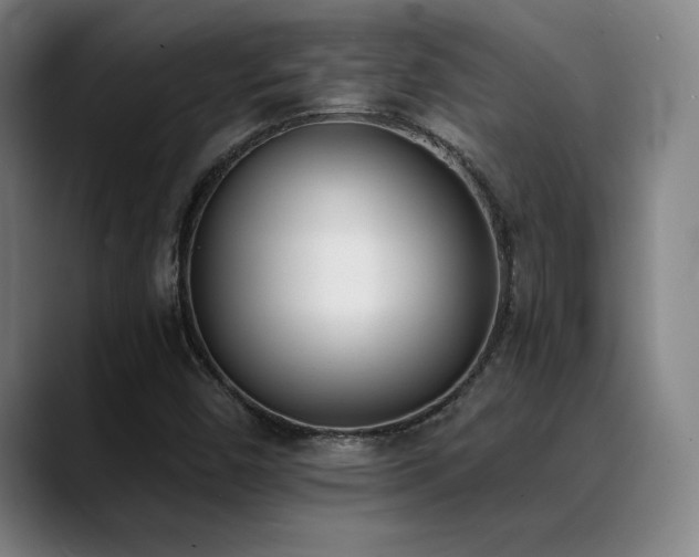 X0000089391450200706151214