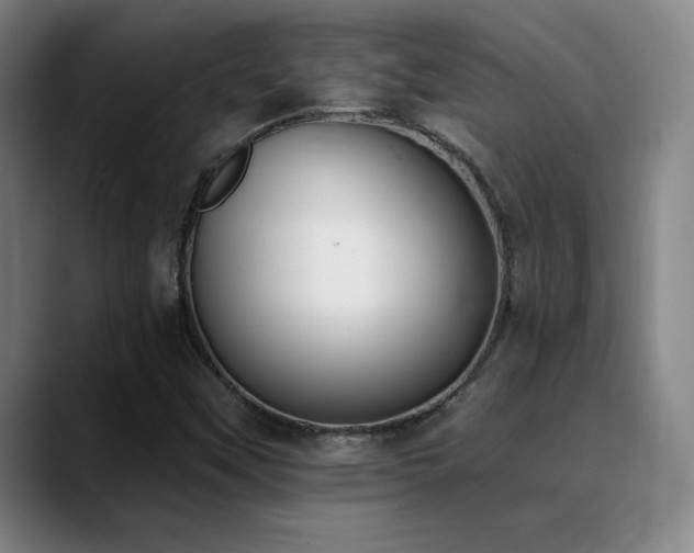 X0000089391451200706151213