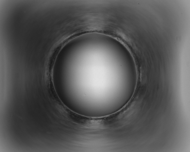 X0000089391453200706151213