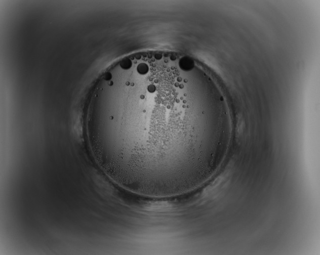 X0000089391455200706151213