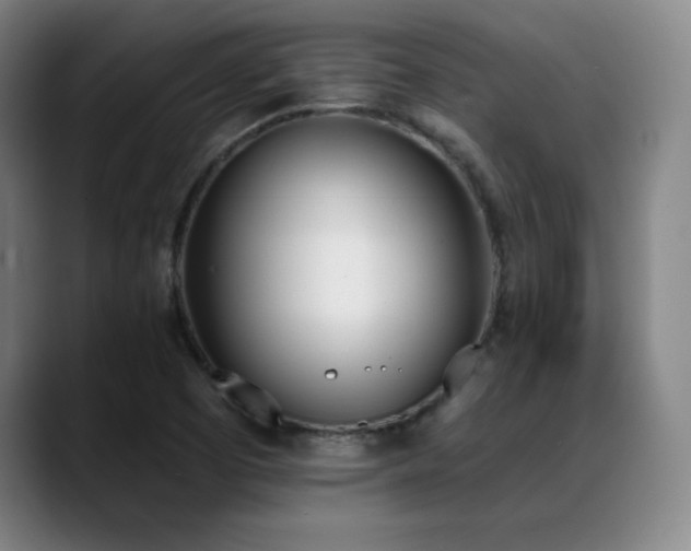 X0000089391457200706151213