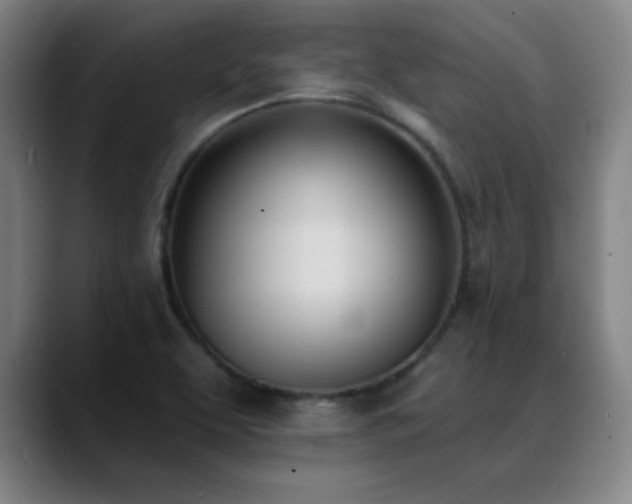 X0000089391463200706151213