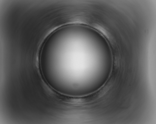 X0000089391468200706151213